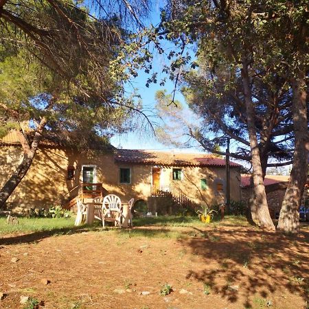 Maison Entiere Hameau Monastir Del Camp Passa Kültér fotó